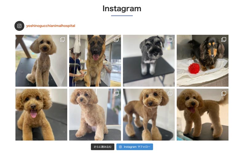 インスタグラムの表示参考例