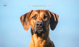 リラ・ラブズ・イット