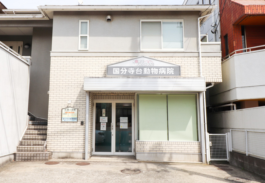 国分寺台動物病院